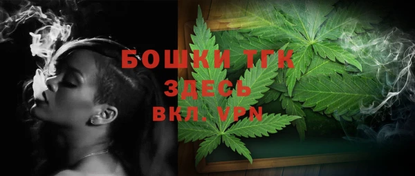 бошки Белокуриха