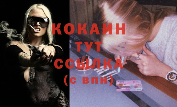 spice Гусев