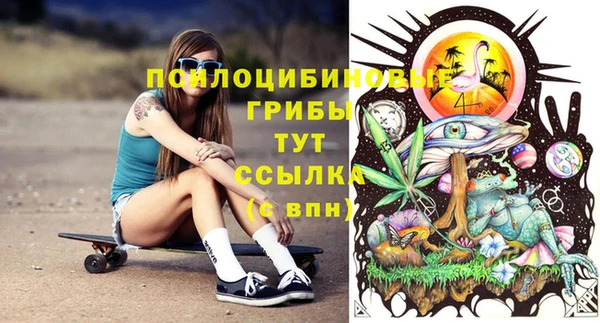 бошки Белокуриха